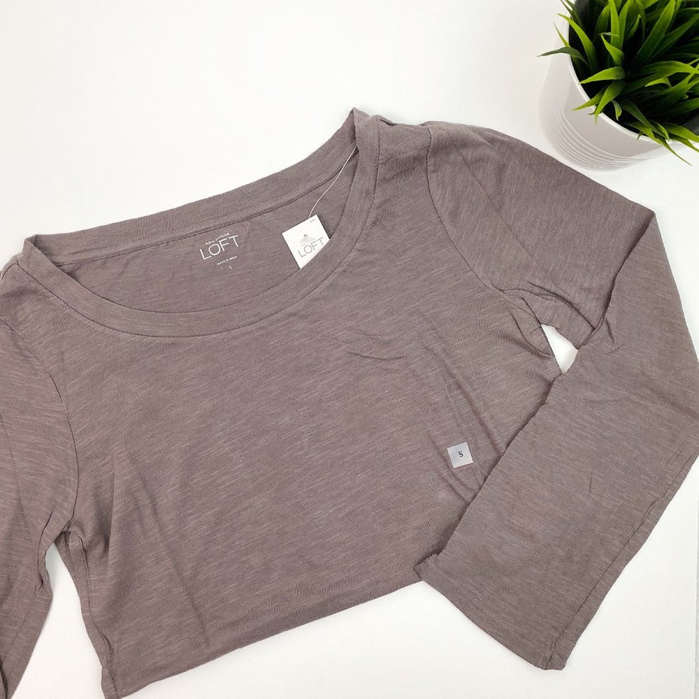 LOFT purple grey tab roll top t-shirt NEW